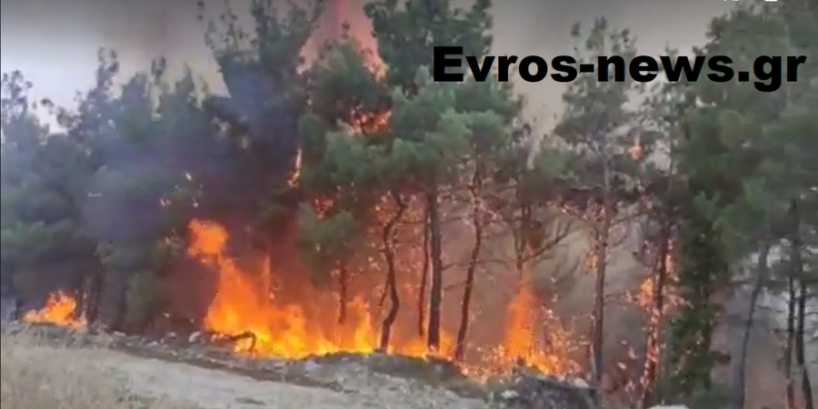 Φωτιά στον Έβρο: Αυξάνονται κι άλλο τα εναέρια μέσα για να σωθεί το Εθνικό Πάρκο Δαδιάς, «μάχη» μόνο από αέρος