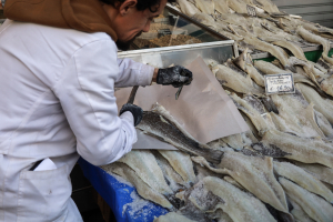 25η Μαρτίου: Το ψάρι σωσίας του μπακαλιάρου, οδηγίες για να μην την πατήσετε