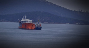 Η βιώσιμη ανάπτυξη της παγκόσμιας ναυτιλίας στο Οικονομικό Φόρουμ των Δελφών