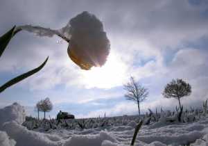 Σε κατάσταση έκτακτης ανάγκης η Σκόπελος - «Πνίγηκαν» στο χιόνι οι Σποράδες