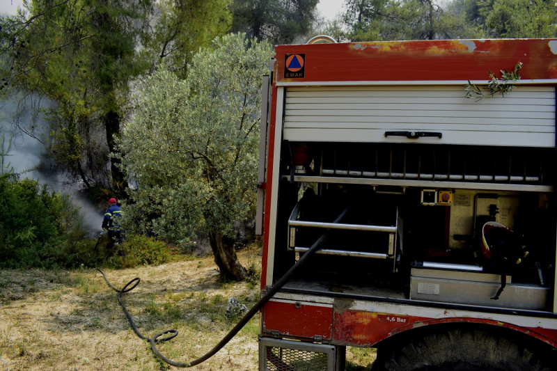 Φωτιά τώρα σε δασική έκταση στο Δήμο Λουτρακίου - Αγίων Θεοδώρων