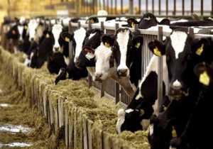 ΟΠΕΚΕΠΕ: «Μπλόκο» στις πληρωμές κτηνοτρόφων της Θεσσαλίας