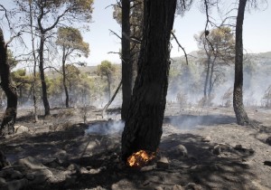 Υπό μερικό έλεγχο η πυρκαγιά στην Αρήνη του δήμου Ζαχάρως