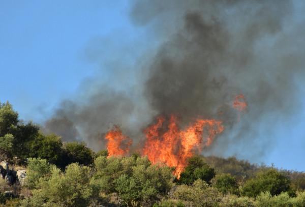 Κεφαλονιά: Πυρκαγιά στη περιοχή Σβωρονάτα