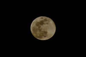 Μαγικές εικόνες: Ανέτειλε το ροζ φεγγάρι που σηματοδοτεί το τέλος του Χειμώνα (pic)