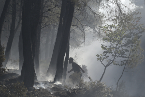 Φωτιές παντού σε όλη την Ελλάδα, 41 ξέσπασαν μόνο το τελευταίο 24ωρο