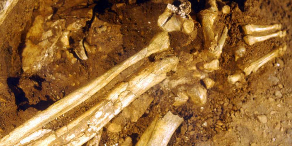Άρτα: Ανθρώπινος σκελετός βρέθηκε σε στρατόπεδο