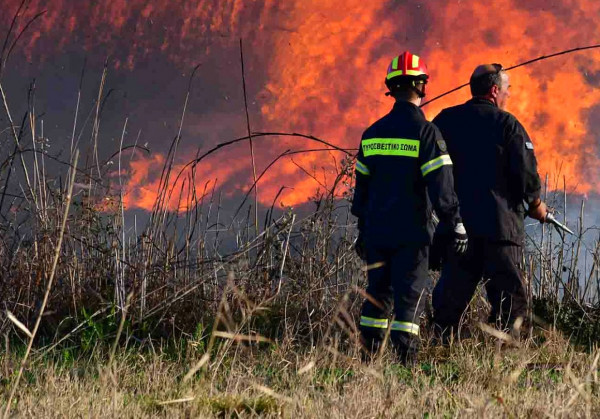 Υπό έλεγχο τέθηκε η πυρκαγιά σε δασική περιοχή στη Σιθωνία Χαλκιδικής