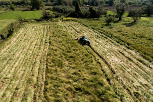 Νέοι αγρότες: Σε διαβούλευση η προδημοσίευση - 35.000 ευρώ για κάθε δικαιούχο