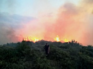 Υπό έλεγχο τέθηκε πυρκαγιά στην Κύμη Ευβοίας μετά από πολύωρη μάχη με τις φλόγες (pics+vid)