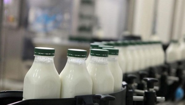 Ιωάννινα: Μήνυση για καρτέλ γάλακτος