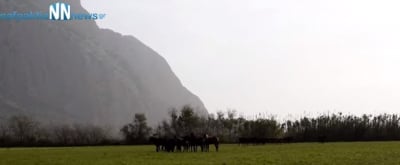 Σοβαρό ατύχημα στη Ναυπακτία: Σε ΜΕΘ 17χρονος μετά από σύγκρουση με άλογο (βίντεο)
