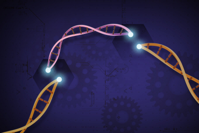 Ερευνητές αποκωδικοποιούν τη λειτουργία ανθρώπινων γονιδίων, ο νέος χάρτης