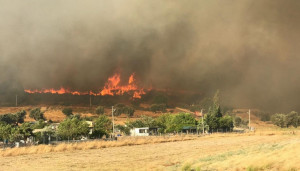 Φωτιά στην Τουρκία: Ορατός μέχρι την Ιεράπετρα ο καπνός - Πώς φαίνεται από τα ελληνικά νησιά (pics+vid)