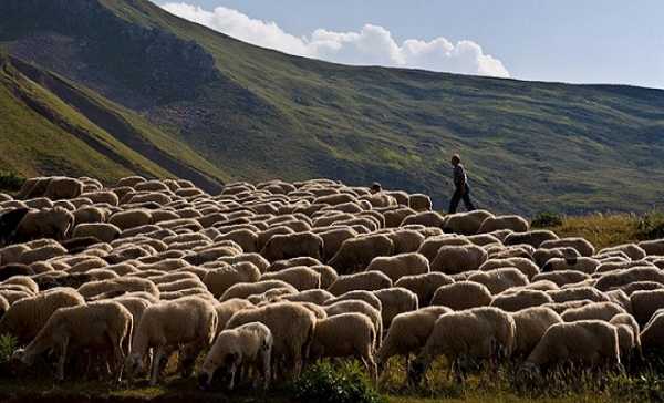 «Όχι» στα αιολικά πάρκα στη Κρήτη λένε οι κτηνοτρόφοι
