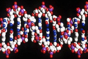 Έφτιαξαν βακτήριο με έξι «γράμματα» στο DNA