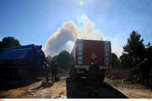 Υπό μερικό έλεγχο η φωτιά στην περιοχή Κολοκυθάς στην Ηλεία