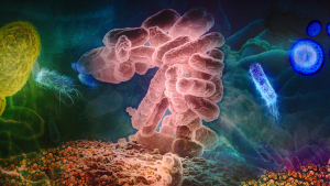 Αναβαθμισμένα «νανο-τρυπάνια» θανατώνουν ανθεκτικά βακτήρια