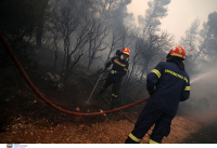 Φωτιές: Στη μάχη 299 πυροσβέστες στα Βίλια, συνδράμουν 61 Ρουμάνοι πυροσβέστες