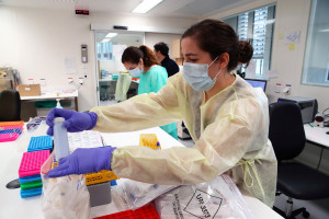 Κινέζοι επιστήμονες απομόνωσαν πολύ αποτελεσματικά αντισώματα κατά του κορονοϊού