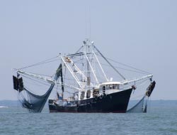 Ευρωπαϊκό Ταμείο Θάλασσας και Αλιείας δημιουργεί η νέα ΚΑλΠ