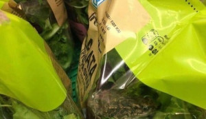 Τι απαντά το γνωστό super market για την σαλάτα με τον βάτραχο