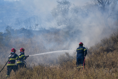 Φωτιά στη Μεσσηνία - «Μάχη» των πυροσβεστών με τις φλόγες