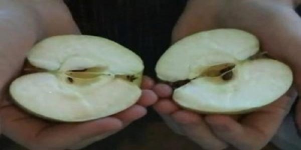 Πώς να κόψεις ένα μήλο με τα χέρια