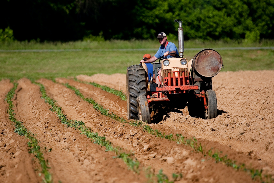 ΟΠΕΚΕΠΕ: Αγροτικές ενισχύσεις έως 290.000 ευρώ σε αγρότες που επλήγησαν -Οι δικαιούχοι και οι αιτήσεις