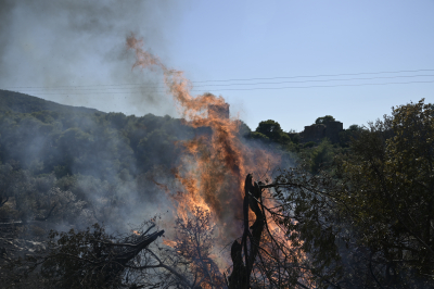 Φωτιά και στα Σπάτα, ισχυρή δύναμη της Πυροσβεστικής στην περιοχή