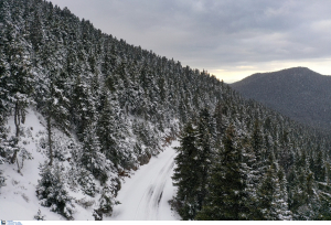 Σάκης Αρναούτογλου: Πυκνές χιονοπτώσεις και χιονοθύελλα φέρνει η κακοκαιρία «Ελπίς»
