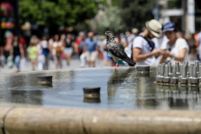 Δήμος Αθηναίων: Kλιματιζόμενοι χώροι για την προστασία των πολιτών από τον καύσωνα