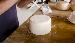 Κάζου Μάρτζου: Το πιο αηδιαστικό τυρί στον κόσμο, κινδυνεύουν με βαρύ πρόστιμο όσοι το πωλούν