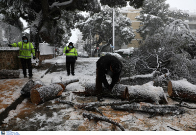 Πέτσας για κακοκαιρία «Μήδεια»: Στην Αττική έπεφτε ένα δέντρο σε καλώδιο της ΔΕΗ ανά δύο λεπτά