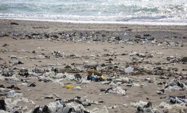 Δράσεις για την προστασία του θαλάσσιου περιβάλλοντος από απορρίμματα 