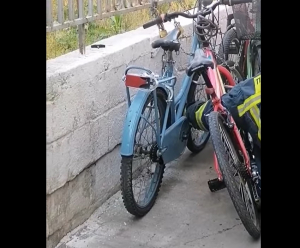 «Λαχτάρα» στη Λάρισα, φίδι κρύφτηκε σε... προφυλακτήρα ποδηλάτου! (βίντεο)