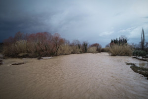 Κίνδυνος για την δημόσια υγεία από τις πλημμύρες στην Χαλκίδα