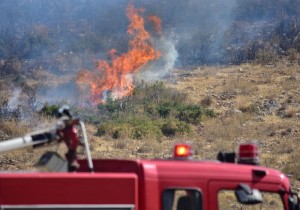 Υπό μερικό έλεγχο η πυρκαγιά στην περιοχή Άρμα Βοιωτίας