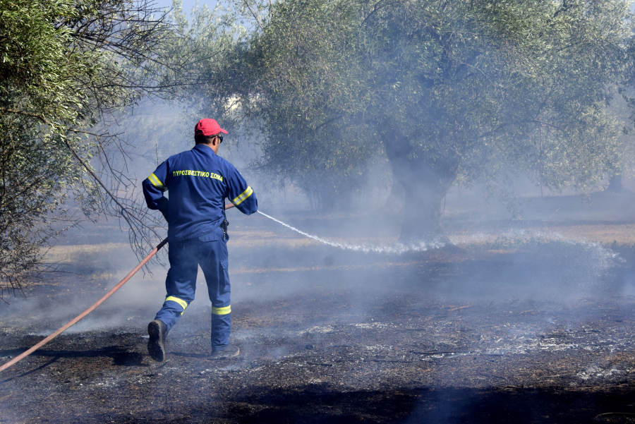 Πυρκαγιά στην Ιεράπετρα- Στο σημείο ισχυρές δυνάμεις της πυροσβεστικής