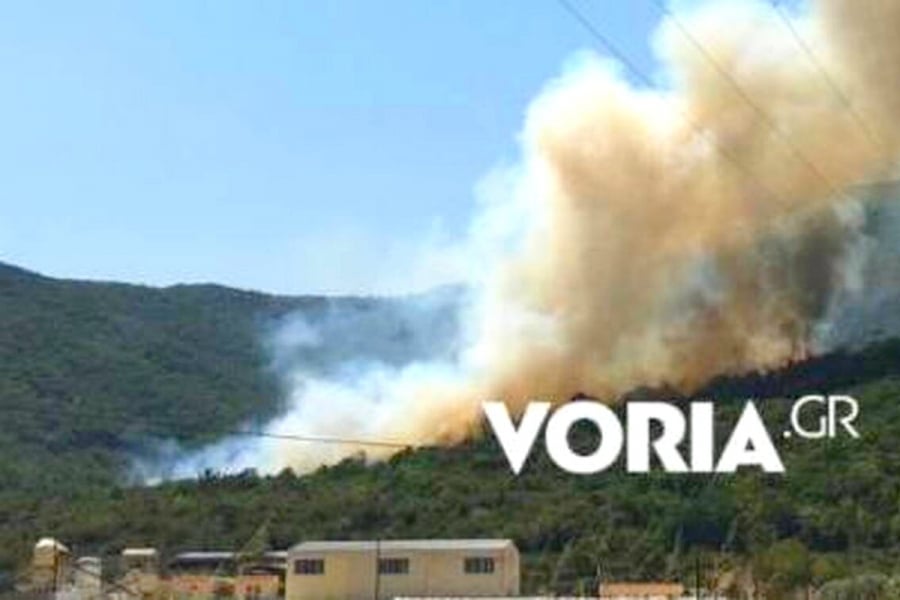 Συναγερμός στην Καβάλα: Ξέσπασε φωτιά στο Παγγαίο (βίντεο)