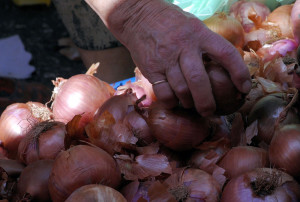 Σχεδόν 2 τόνοι ακατάλληλα κρεμμύδια σε αγορά του Πειραιά