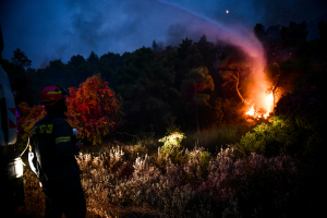 Φωτιά στα Βίλια: Ακόμα μια νύχτα αγωνίας - Δύσκολη μάχη για να μην περάσουν οι φλόγες προς τον Μεγαρικό κάμπο (βίντεο)