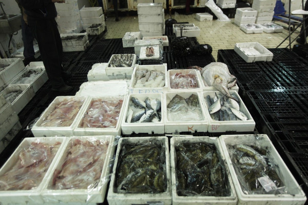Πάνω από 2 τόνοι ληγμένα κατεψυγμένα ψάρια βρέθηκαν σε επιχείρηση