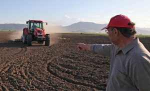 Η επιβίωση των ελληνικών γεωργικών εκμεταλλεύσεων