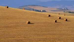 Ο εκσυγχρονισμός των γεωργικών εκμεταλλεύσεων θα ενισχύσει το αγροτικό εισόδημα
