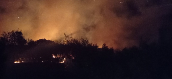Φωτιά στο Πόρτο Γερμενό: Μαρτυρία για μηχανάκι που έφευγε βιαστικά τη στιγμή που ξέσπασε η πυρκαγιά (βίντεο)