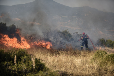 Προειδοποίηση Λέκκα για τις φωτιές: «Οριακή η κατάσταση στην Αττική - Να μη χαθούν άλλα δάση»