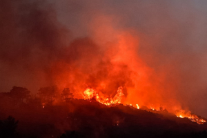 «Καμπανάκι» από την Πολιτική Προστασία- Ποιες περιοχές κινδυνεύουν με φωτιά
