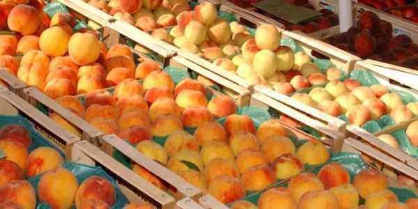 Δωρεάν διανομή φρούτων στο Δήμο Ζωγράφου