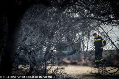 Το βούλευμα που «καίει» πέντε στελέχη της Πυροσβεστικής για το Μάτι: Οι παραλείψεις που στοιχειοθετούν κακούργημα